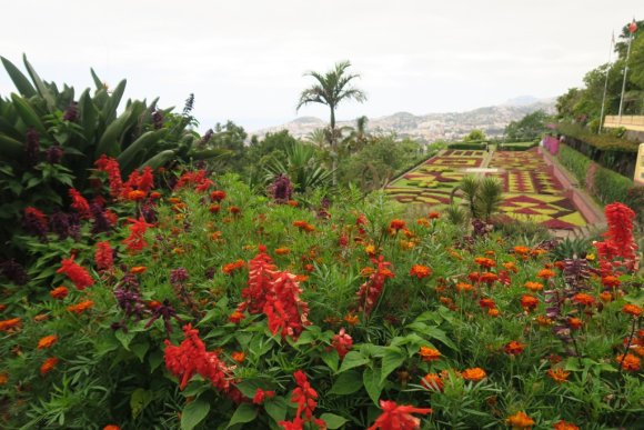 0_Funchal_50_Jardim_Botanic_20