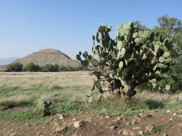 Teotihuacan_30