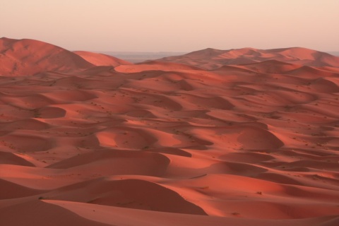 10_Erg_Chebbi_dunes_23_small