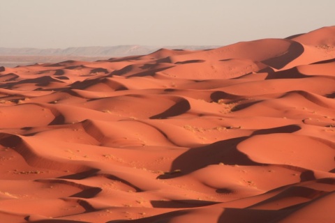 10_Erg_Chebbi_dunes_49_small