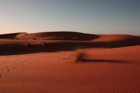 10_Erg_Chebbi_dunes_53_small