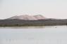 30_Erg_Chebbi_lac_12_small