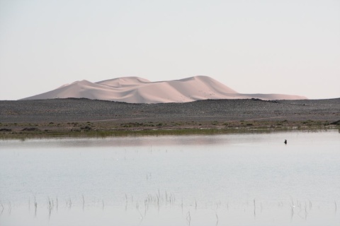 30_Erg_Chebbi_lac_12_small