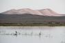 30_Erg_Chebbi_lac_15_small