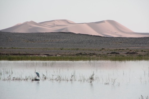 30_Erg_Chebbi_lac_15_small