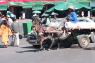 1Place_Jemaa_El_Fna_43_small