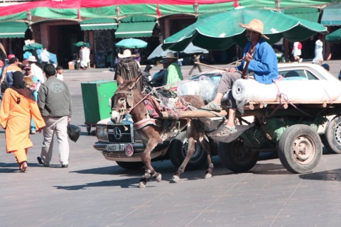 1Place_Jemaa_El_Fna_43_small