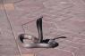 1Place_Jemaa_El_Fna_47_small