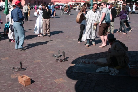 1Place_Jemaa_El_Fna_49_small