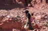 10Ait_Benhaddou_58_small