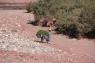 10Ait_Benhaddou_63_small