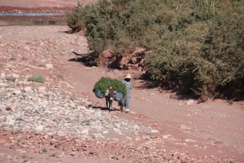 10Ait_Benhaddou_63_small