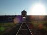 3Birkenau_30