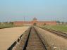 3Birkenau_36