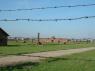 3Birkenau_44