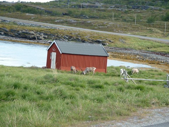 157Nordkapp_Route