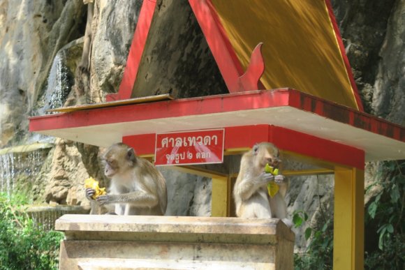 Krabi_524_Tiger_temple