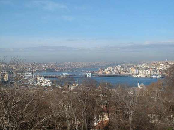 600GoldenHorn