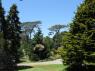 72_Golden_Gate_Park_20