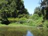 72_Golden_Gate_Park_39