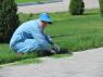 people1_Tashkent_Mustaqillik_Maydoni_50_worker
